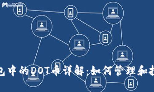 ImToken钱包中的DOT币详解：如何管理和投资Polkadot