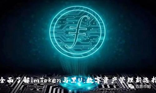 全面了解imToken与黑U：数字资产管理新选择