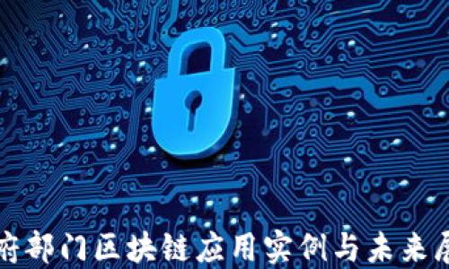 
政府部门区块链应用实例与未来展望